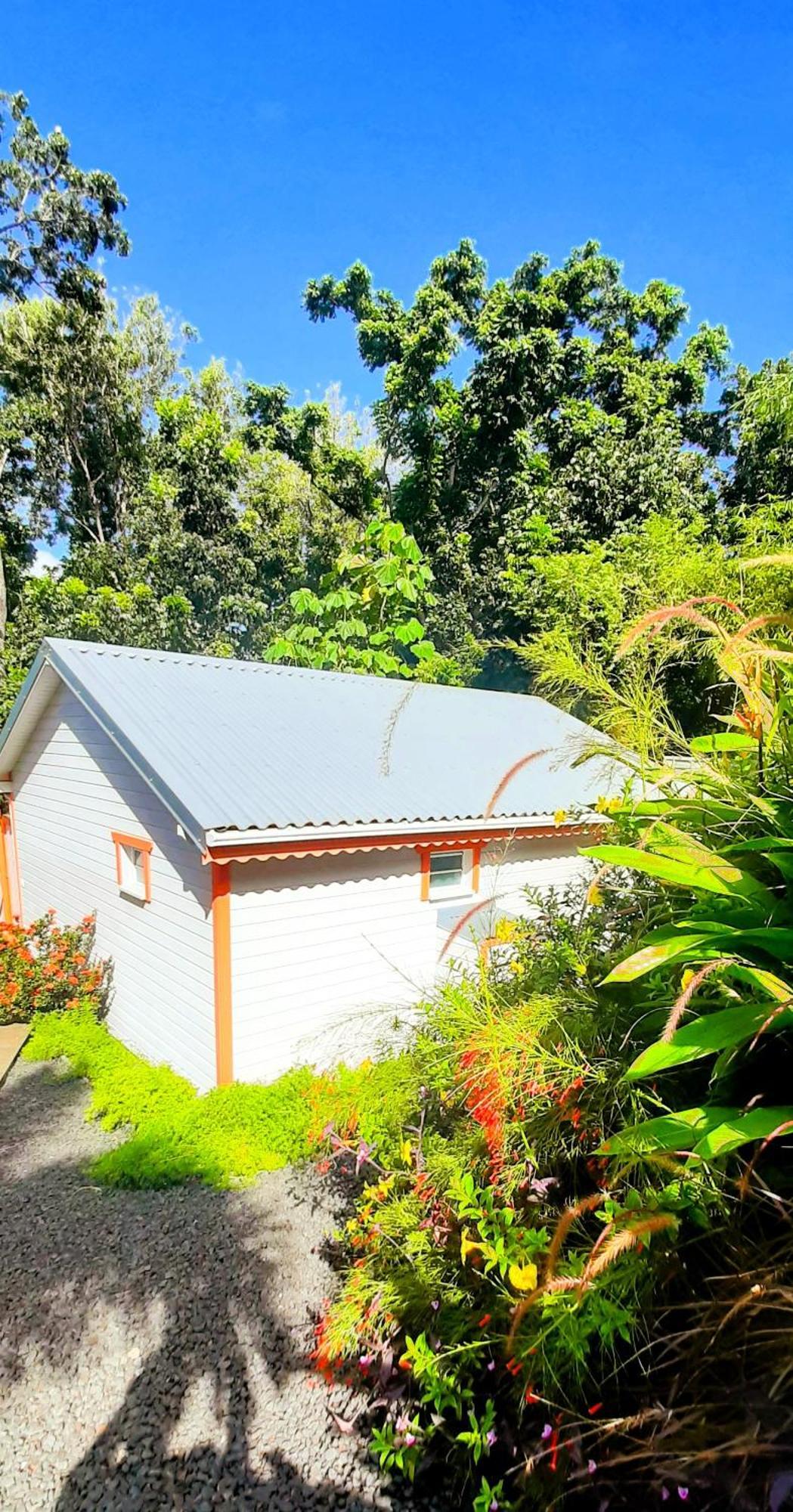 Caraibes Cottages Corail Deshaies Extérieur photo