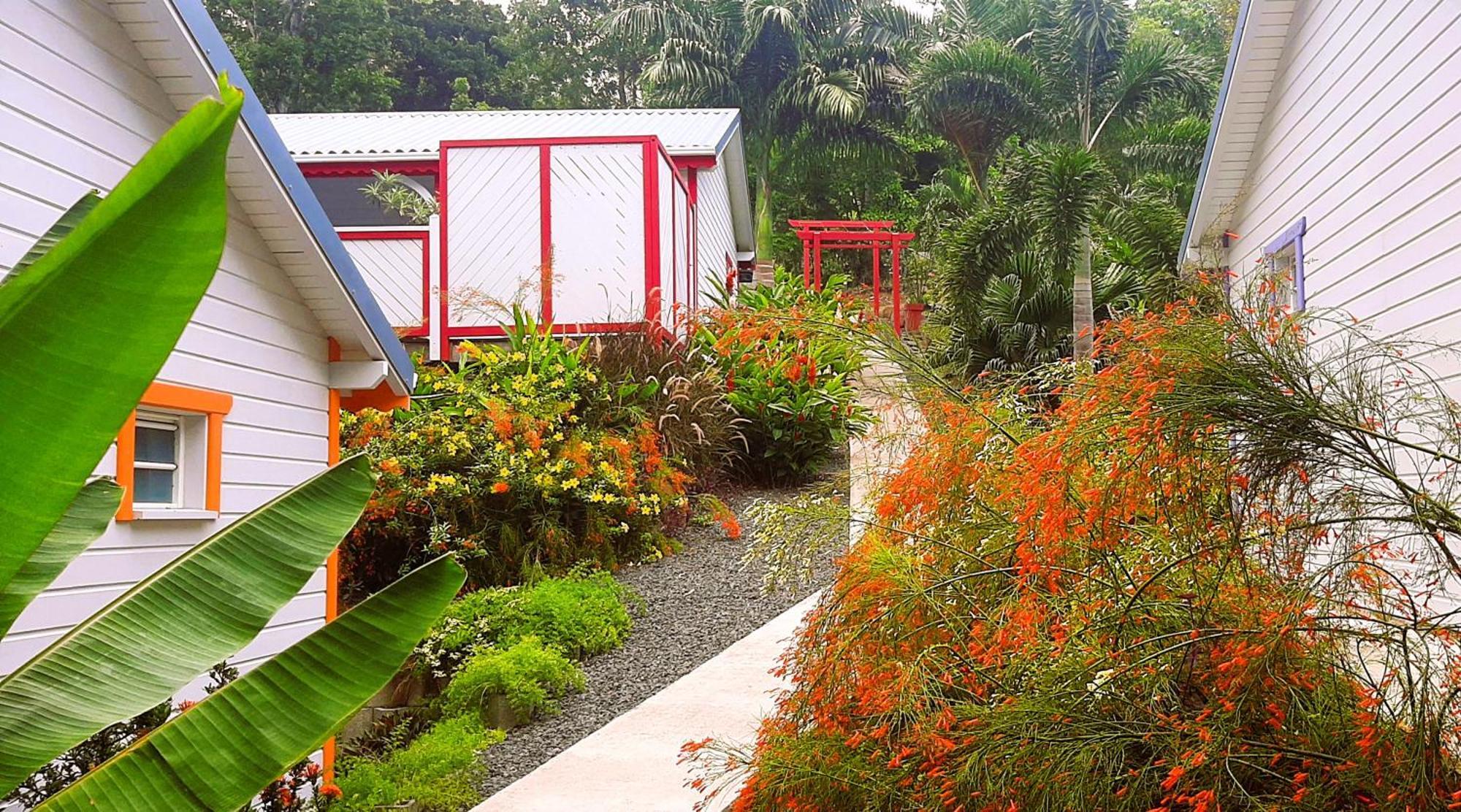 Caraibes Cottages Corail Deshaies Extérieur photo