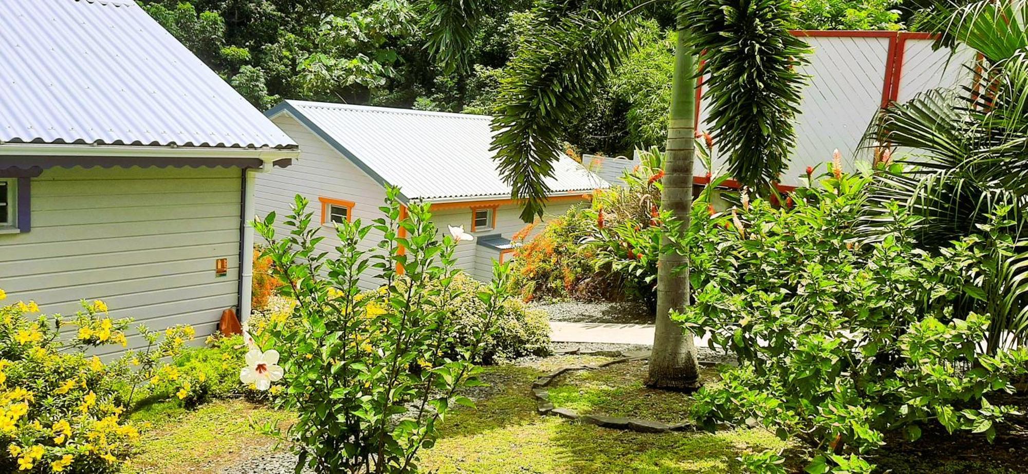 Caraibes Cottages Corail Deshaies Extérieur photo