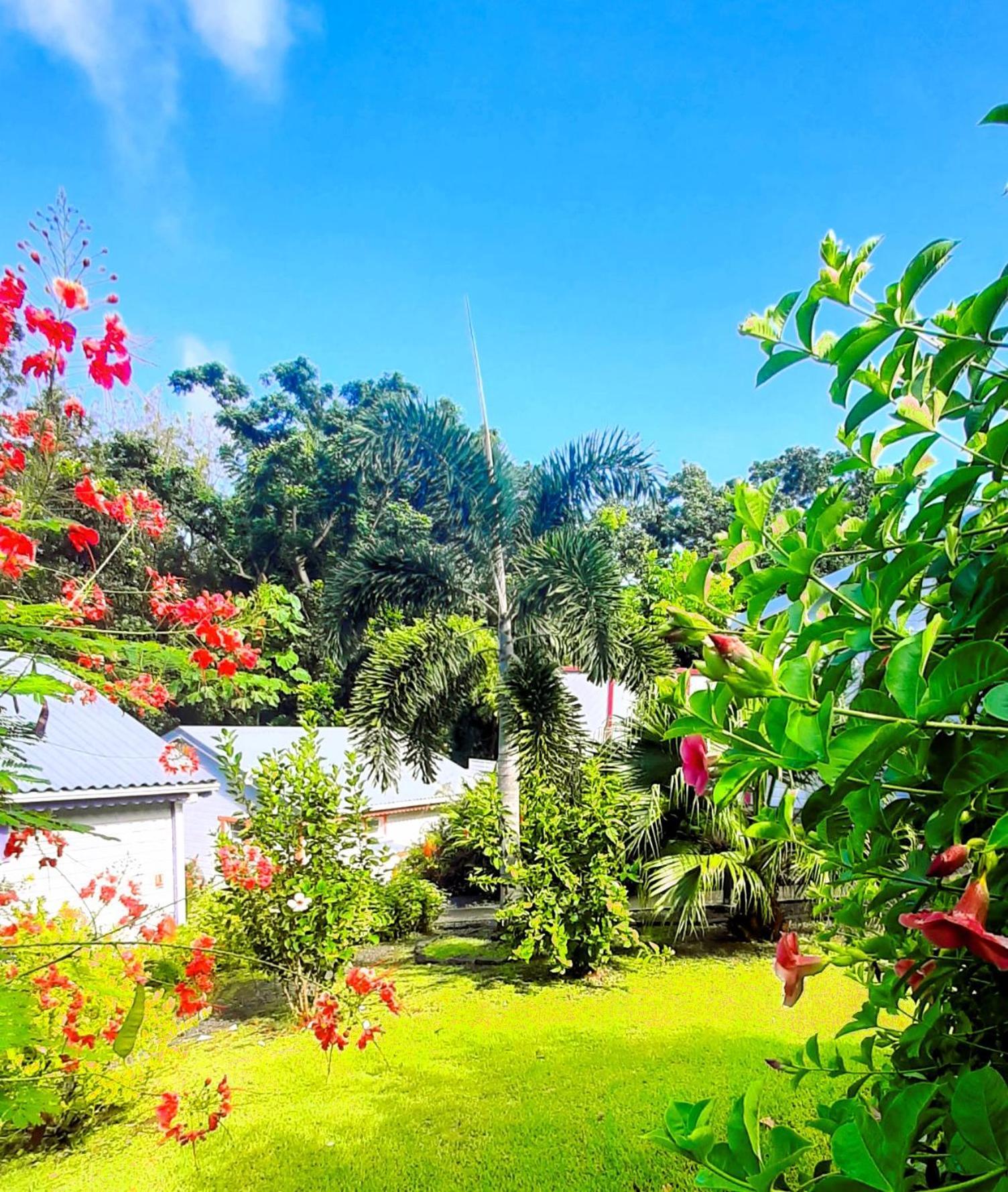 Caraibes Cottages Corail Deshaies Extérieur photo