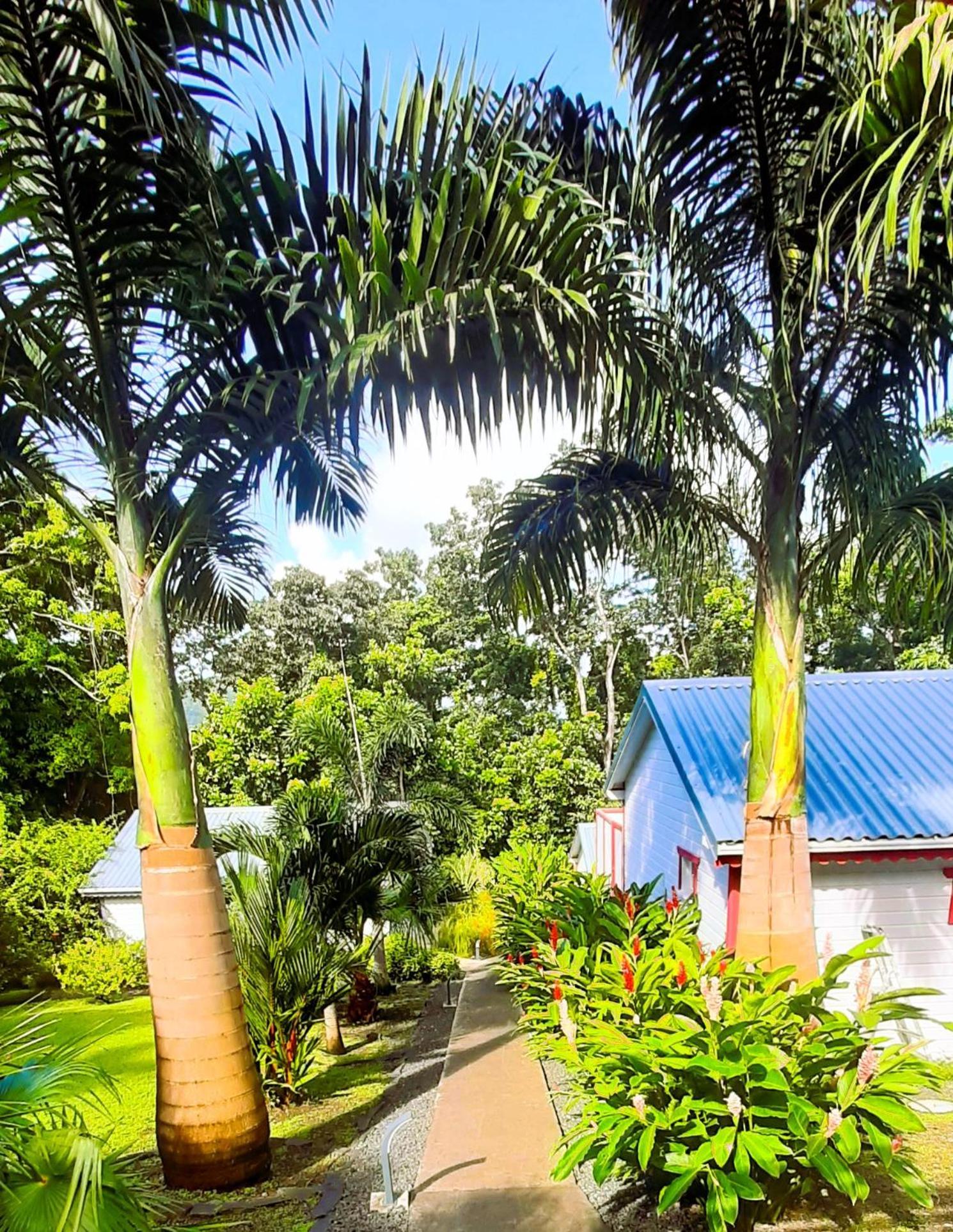 Caraibes Cottages Corail Deshaies Extérieur photo